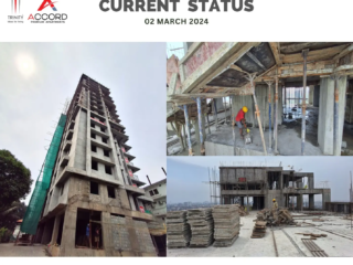 Trinity Accord Current Status ( March )