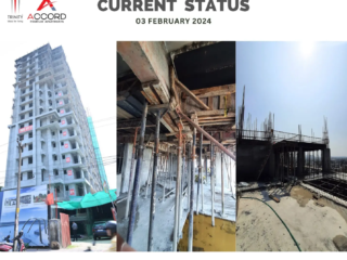 Trinity Accord Current Status ( February )