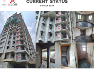 Trinity Accord Current Status ( May )