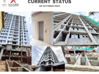 Trinity Accord Current Status ( OCTOBER )