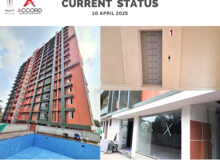 Trinity Accord Current Status ( April )