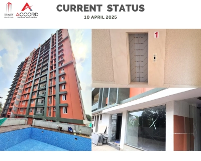 Trinity Accord Current Status ( April )