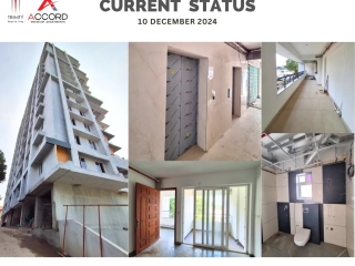 Trinity Accord Current Status ( December )