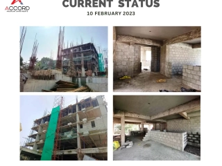 Trinity Accord Current Status 10 February 2023