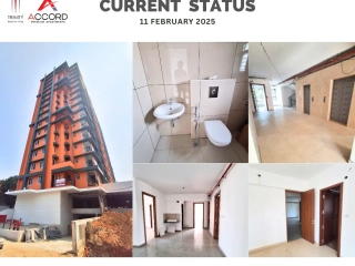 Trinity Accord Current Status ( February )