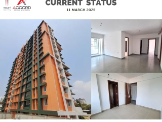 Trinity Accord Current Status ( March )