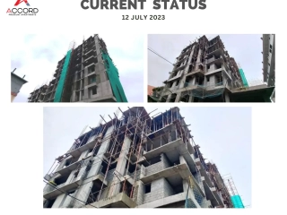 Trinity Accord Current Status 12 July 2023