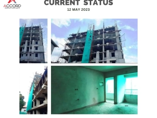 Trinity Accord Current Status 12 May 2023