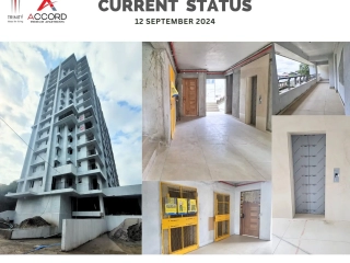 Trinity Accord Current Status ( September )