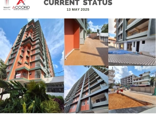 Trinity Accord Current Status ( May )