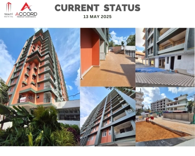 Trinity Accord Current Status ( May )