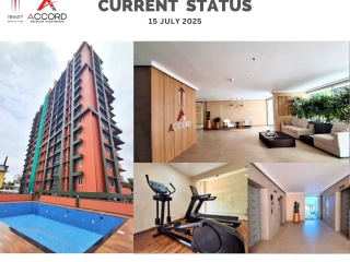 Trinity Accord Current Status ( July )