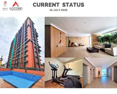 Trinity Accord Current Status ( July )