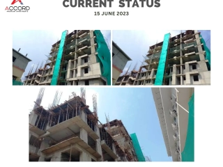 Trinity Accord Current Status 15 June 2023