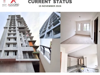 Trinity Accord Current Status ( November )