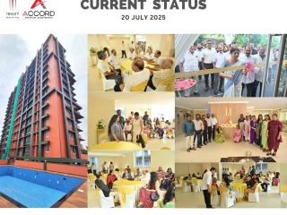 Trinity Accord Current Status ( July )