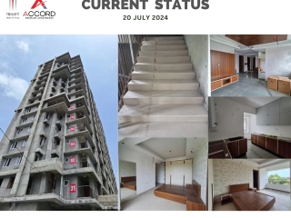 Trinity Accord Current Status ( July)