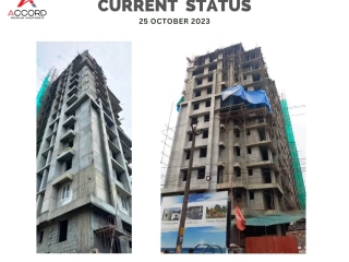 Trinity Accord Current Status 25 October 2023