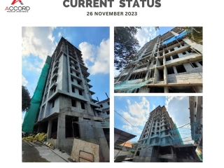 Trinity Accord Current Status 26 November 2023