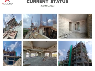 Trinity Accord Current Status 3 April 2023