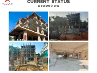 Trinity Accord Current Status 31 December 2022