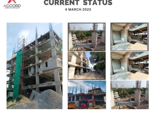 Trinity Accord Current Status 4 March 2023