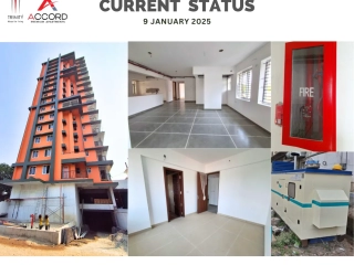 Trinity Accord Current Status ( January )