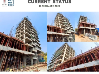 Trinity Prominence Current Status ( February )