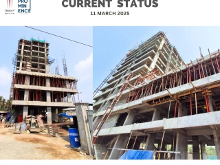 Trinity Prominence Current Status ( March )