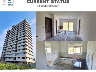 Trinity Prominence Current Status ( December )