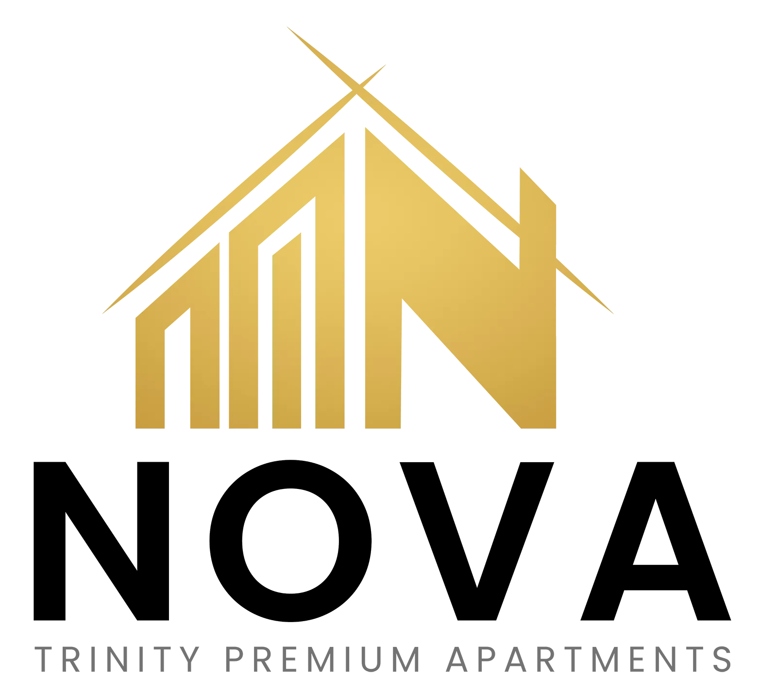 Trinity NOVA Logo Black